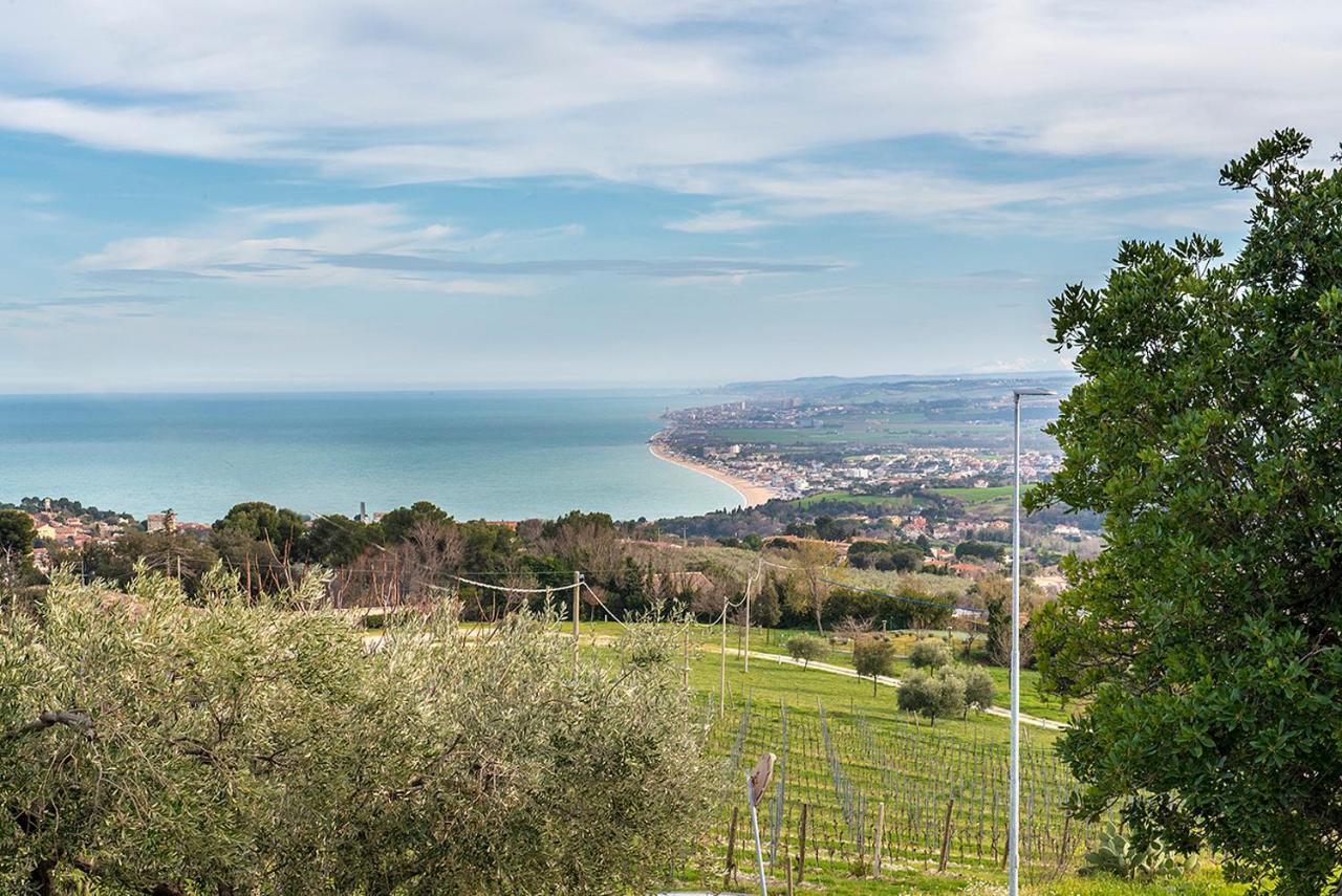 Apartment S294 - Sirolo, Meraviglioso Trilocale Con Terrazzo E Vista Mare *
